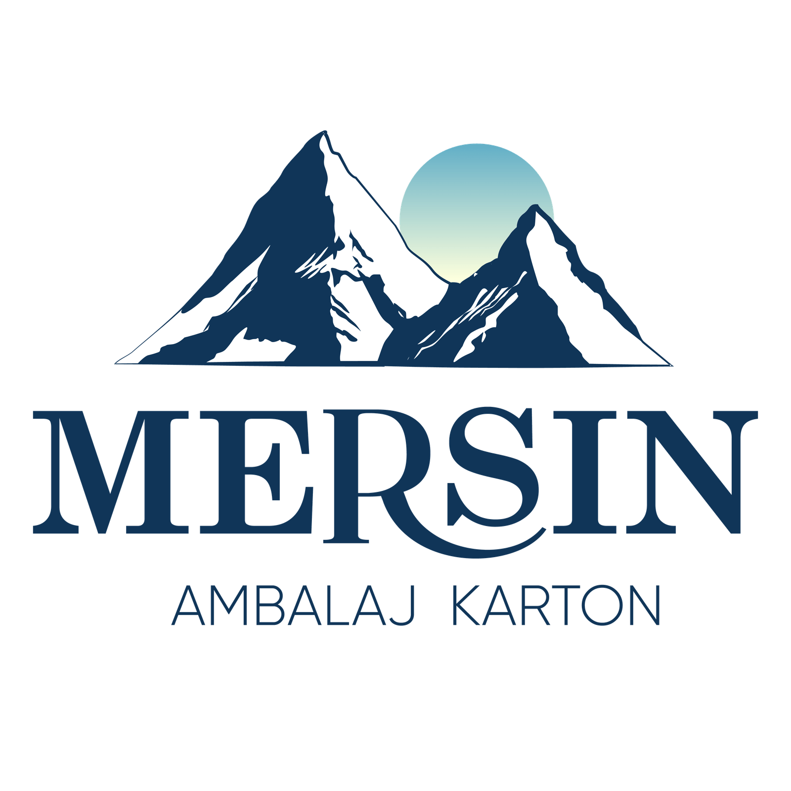 mersinkarton.com